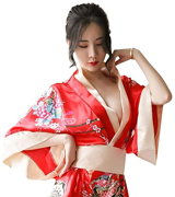 Rituale Geisha